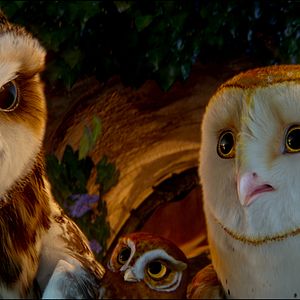 Bilder Die Legende der Wächter