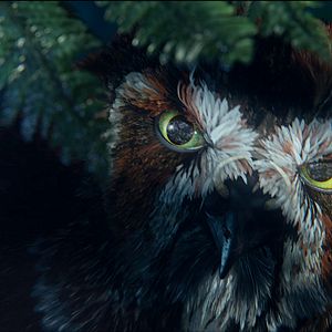 Bilder Die Legende der Wächter