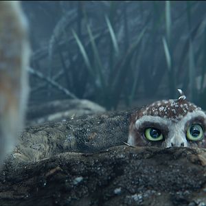 Bilder Die Legende der Wächter