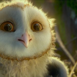 Bilder Die Legende der Wächter