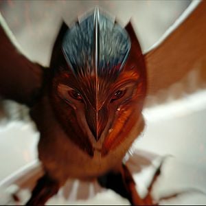 Bilder Die Legende der Wächter