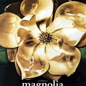 Bilder Magnolia