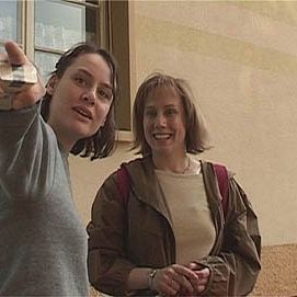 Bilder Der Wald vor lauter Bäumen