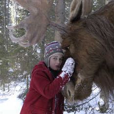Bilder Es ist ein Elch entsprungen