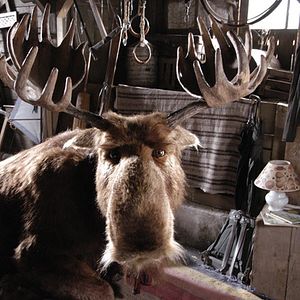 Bilder Es ist ein Elch entsprungen