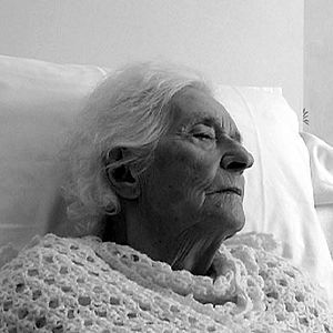 Bilder Pierre Creton