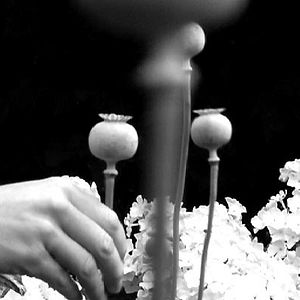 Bilder Pierre Creton