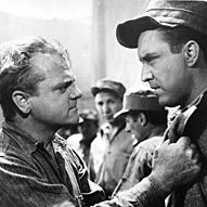 Bilder Sprung in den Tod