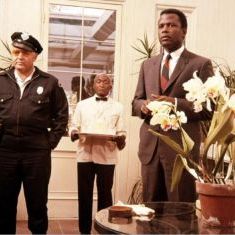 Bilder In der Hitze der Nacht