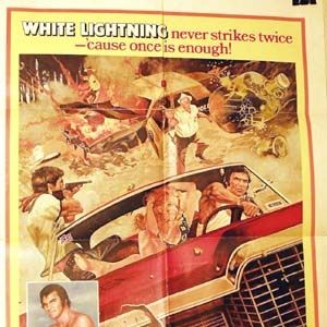 Bilder Der Tiger hetzt die Meute