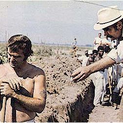 Bilder Der Tiger hetzt die Meute