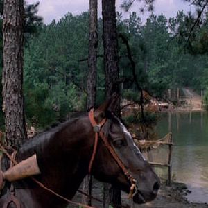 Bilder Mein Name ist Nobody