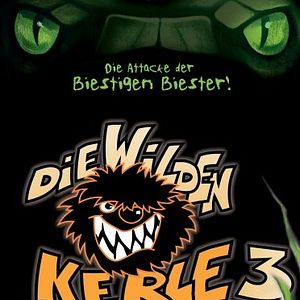Bilder Die Wilden Kerle 3