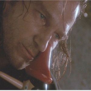 Bilder König der Fischer