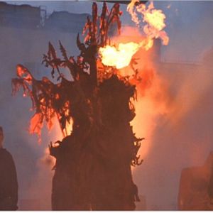 Bilder König der Fischer