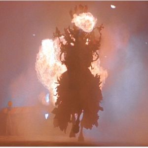 Bilder König der Fischer