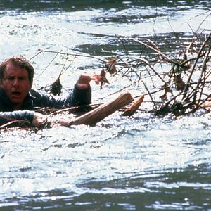 Bilder Auf der Flucht