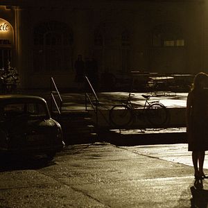 Bilder Der Rote Kakadu