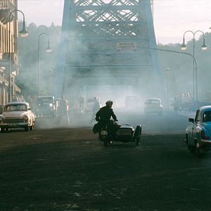 Bilder Der Rote Kakadu