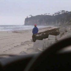 Bilder Hana-bi - Feuerblume