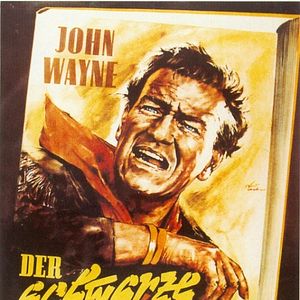 Bilder Der Schwarze Falke