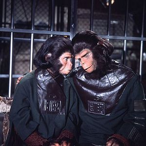 Bilder Flucht vom Planet der Affen