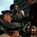 Bilder Eroberung vom Planet der Affen