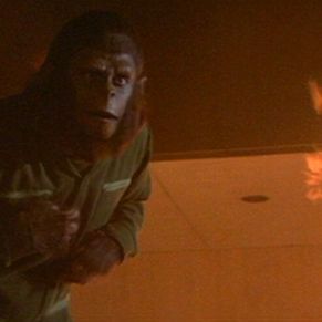 Bilder Eroberung vom Planet der Affen