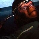 Bilder Eroberung vom Planet der Affen