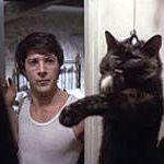 Bilder Wer Gewalt sät