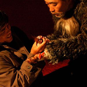 Bilder Starfish Hotel