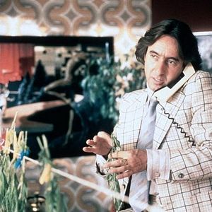 Bilder 23 - Nichts ist so wie es scheint