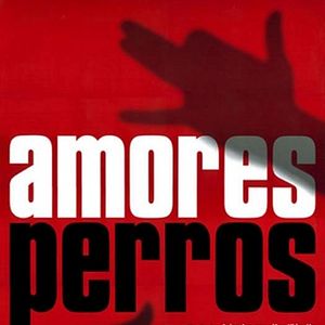 Bilder Amores perros