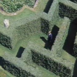 Bilder Mord mit kleinen Fehlern