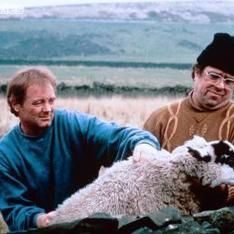 Bilder Raining Stones