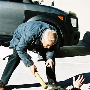 Bilder The Flock - Dunkle Triebe