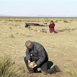 Bilder The Flock - Dunkle Triebe