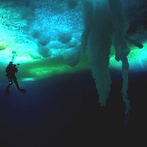 Bilder Begegnungen am Ende der Welt