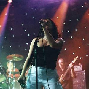 Bilder Die Commitments