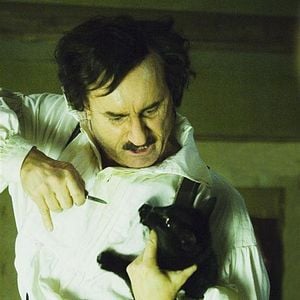 Bilder Die schwarze Katze