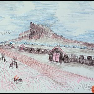 Bilder Mirikitanis Katzen