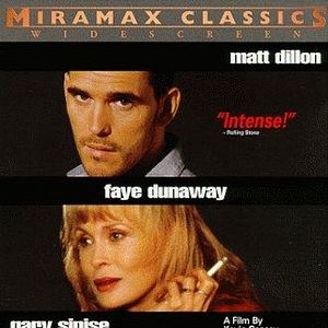 Bilder Albino Alligator