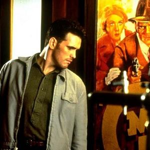 Bilder Albino Alligator