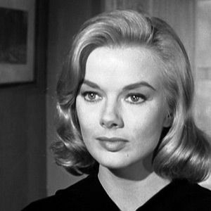 Bilder Botschafter der Angst