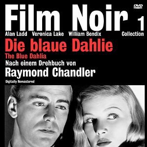 Bilder Die blaue Dahlie