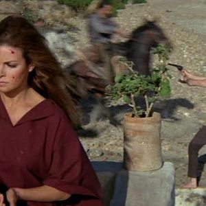 Bilder In einem Sattel mit dem Tod