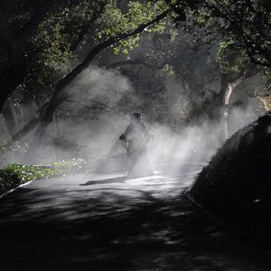 Bilder Alone In the Dark 2