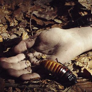 Bilder Nuit Noire - Die schwarze Nacht