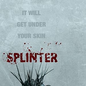Bilder Splinter