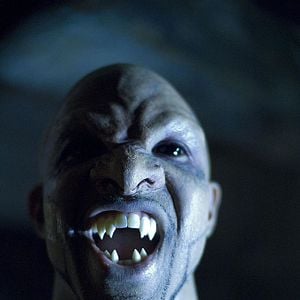 Bilder Lost Boys 2: The Tribe